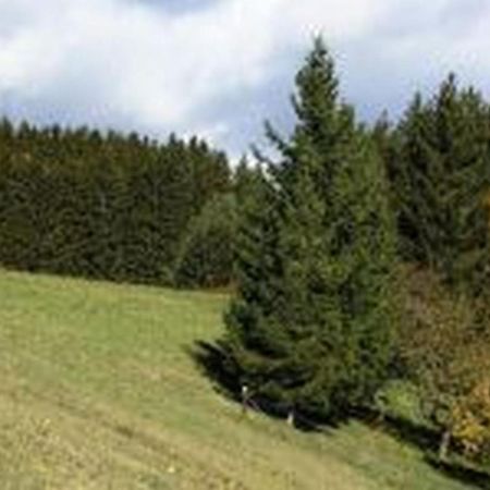 Landgasthof Hauser Immendingen 외부 사진