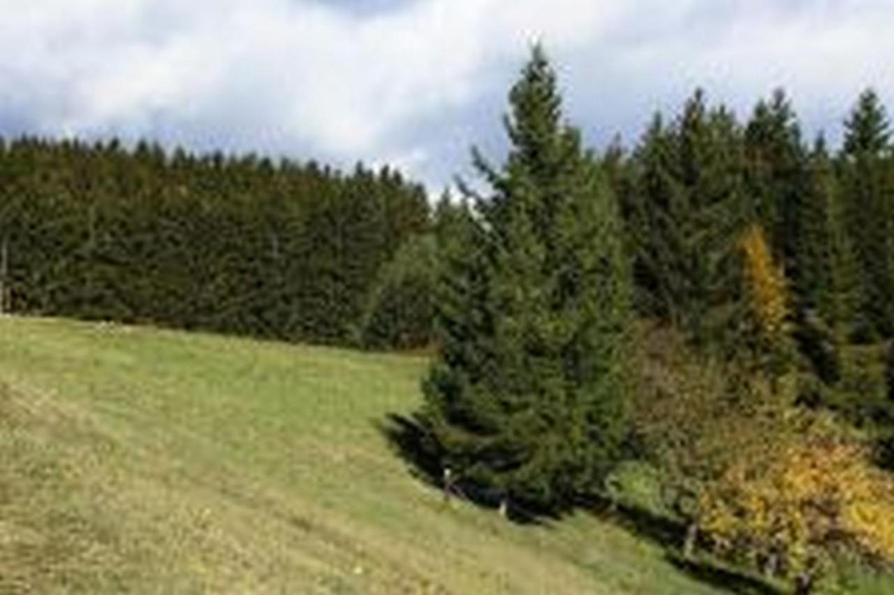 Landgasthof Hauser Immendingen 외부 사진
